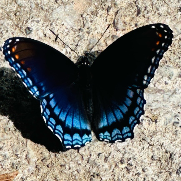 I appreciate all the help I can get. I am currently on #1. - Picture 2 of 5